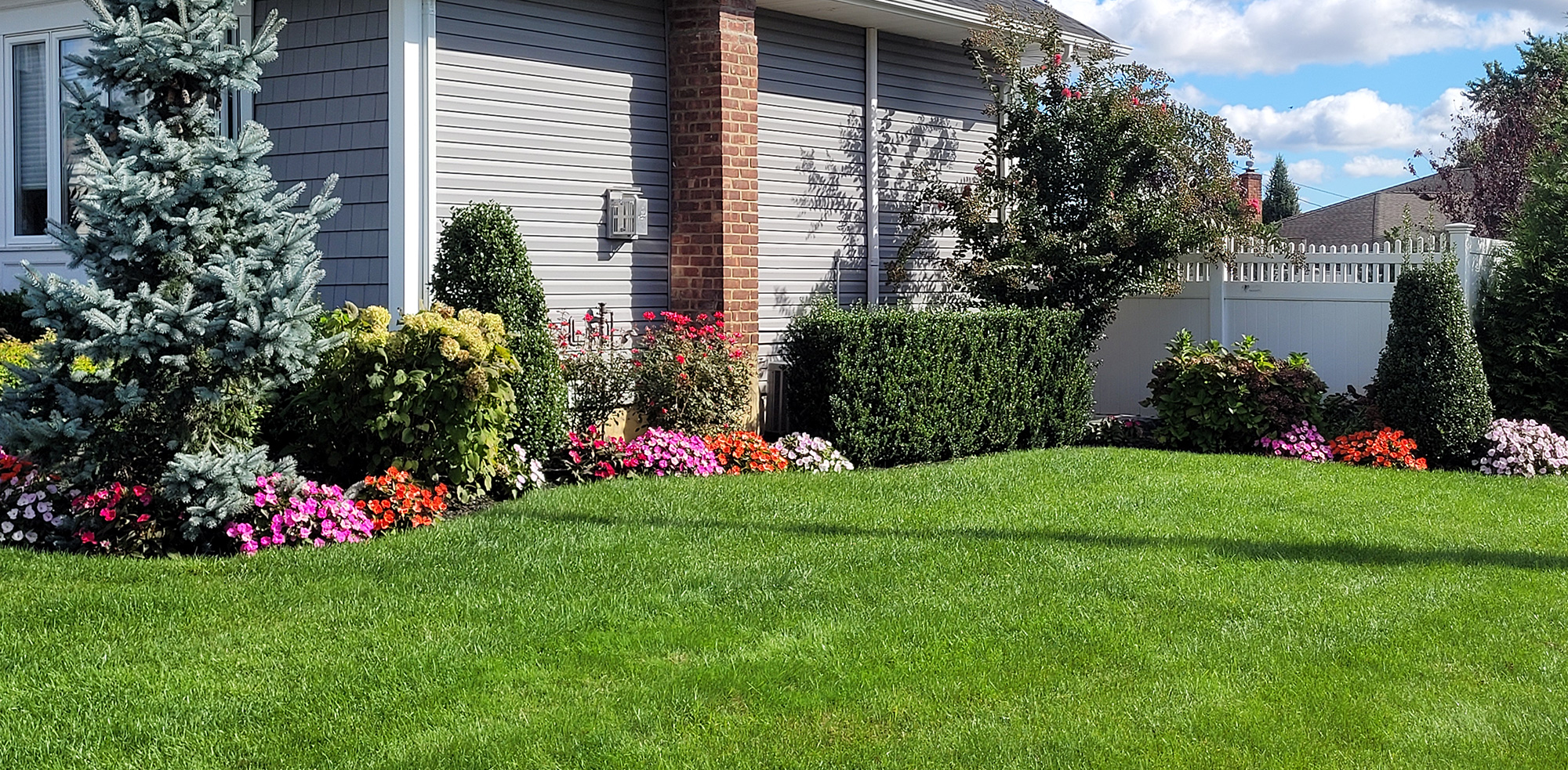 Lawn Magician free estimates